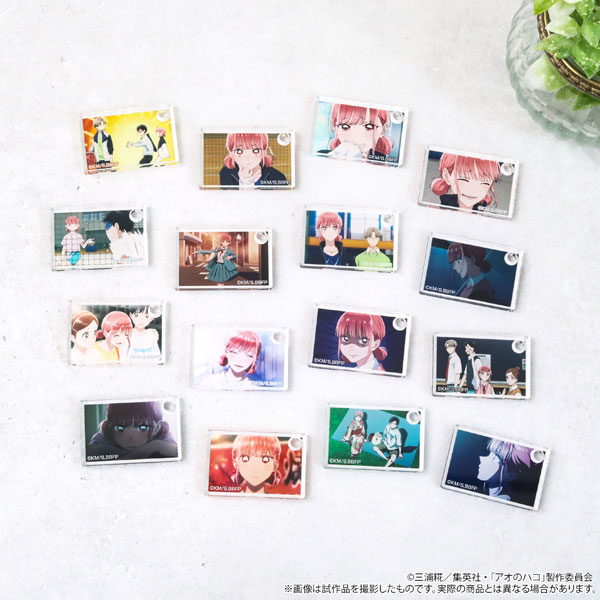 アオのハコ アクリルキーホルダーコレクション 蝶野雛 8パック入りBOX