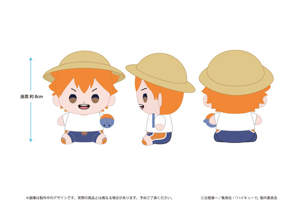 ハイキュー！！ もっちび ぬいぐるみ 日向翔陽 ビーチボールver.