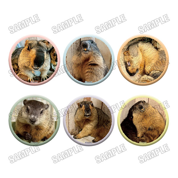 マーモットカフェ「マーモット村」 缶バッジコレクション 6個入りBOX