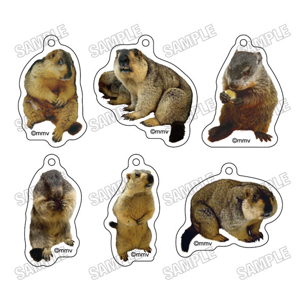 マーモットカフェ「マーモット村」 めじるしチャームコレクション 6個入りBOX