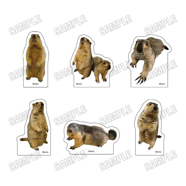 マーモットカフェ「マーモット村」 アクリルブロックコレクション 6個入りBOX