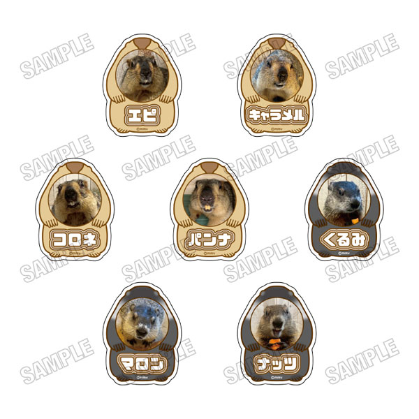 マーモットカフェ「マーモット村」 アクリルネームバッジコレクション[vol.1] 7個入りBOX