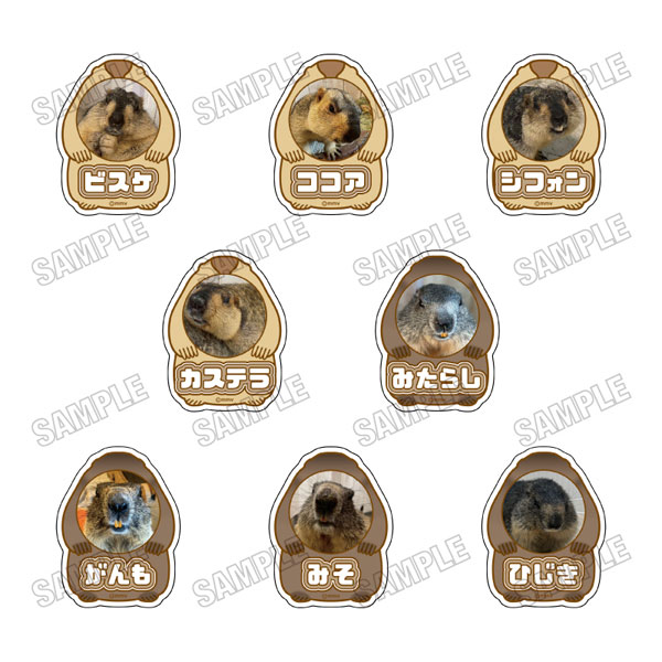 マーモットカフェ「マーモット村」 アクリルネームバッジコレクション[vol.2] 8個入りBOX