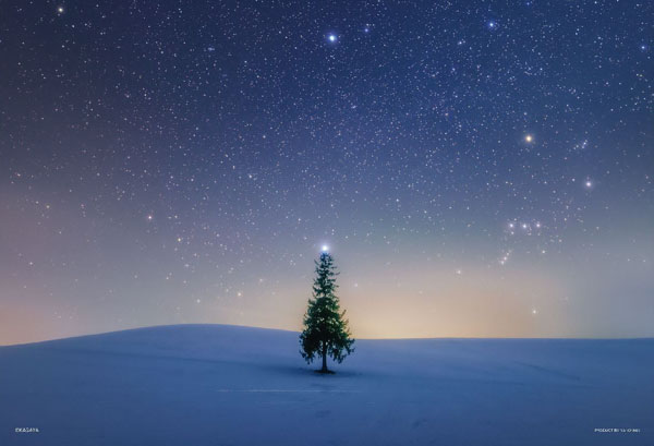 ジグソーパズル シリウスのツリー(北海道) 300ピース (03-966)[やのまん]《０５月予約》