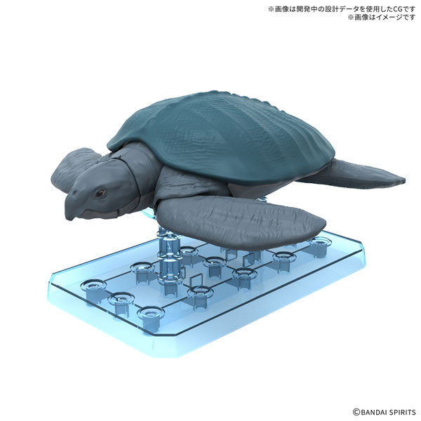 プラノサウルス アーケロン プラモデル[BANDAI SPIRITS]《０９月予約》