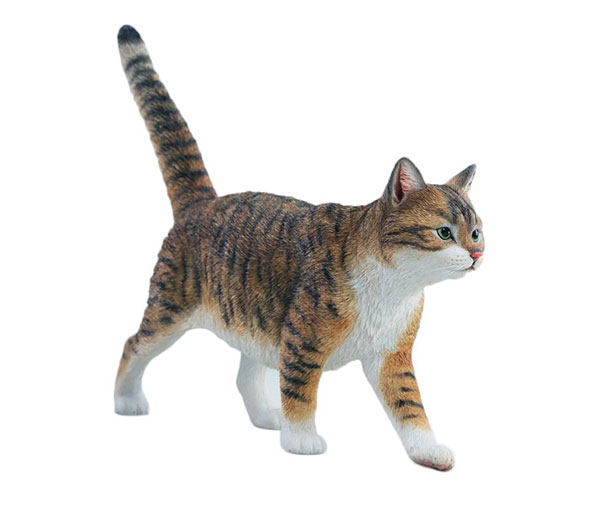 中国田園猫フィギュア プラス A[JXKスタジオ]《06月仮予約》