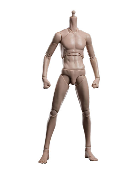 1/6 アーティコイ 超可動スリム男性ボディ ワイドショルダー