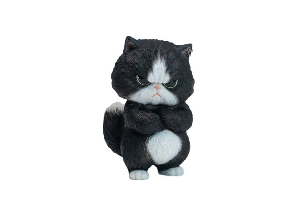 ぷんすか猫 A ぷんすか猫 A