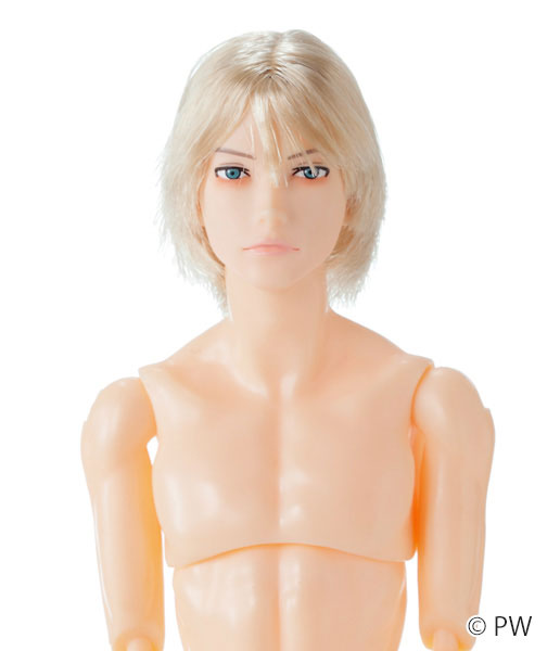 六分の一男子図鑑 B2608 ナイン 完成品ドール[ペットワークス]《発売済