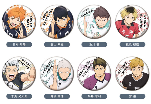 ハイキュー!! HAIKYU FIGHTER バッジ 8個セット ハイキュー 刺繍 缶バッジ 全8種セット ケイカンパニー ガチャポン