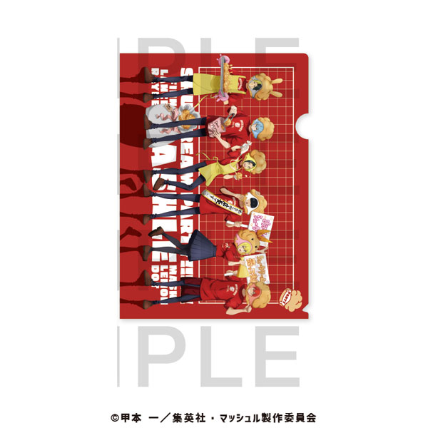 アニメ「マッシュル-MASHLE-」A4クリアファイル[イーディス]《07月予約》