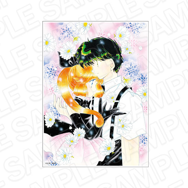 セイントテール　キャンバスアート 怪盗セイント・テール キャンバスアート C[コンテンツシード]《07月