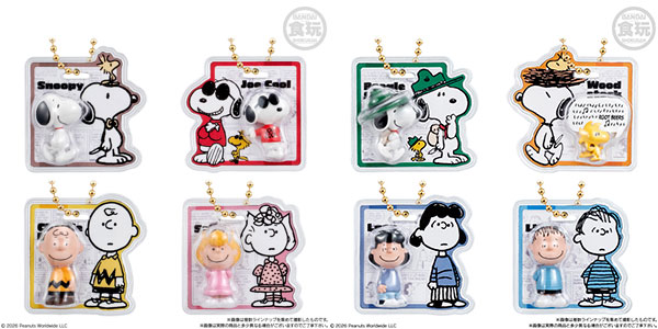 PEANUTS -SNOOPY- パッケージチャーム＆チョコボーロ 10個入りBOX (食玩)