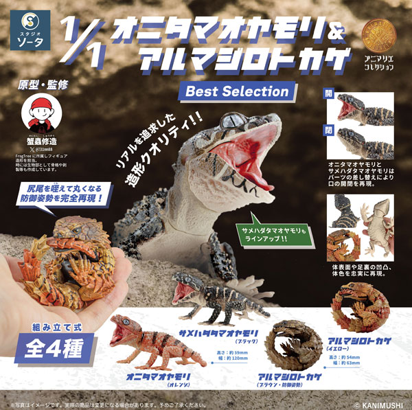 1/1 オニタマオヤモリ＆アルマジロトカゲ Best Selection 4個入りBOX