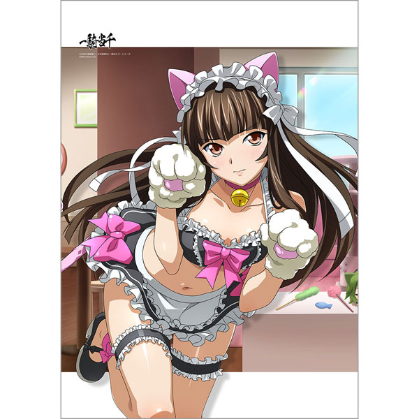 一騎当千]B2タペストリー(典韋/献身にゃんこ)Wスエード[カーテン魂