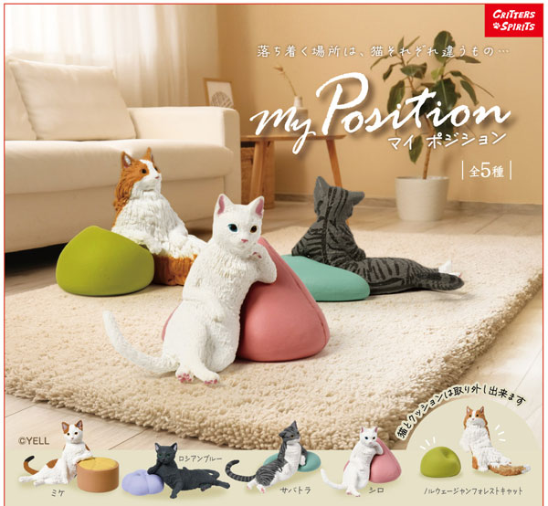 My Position 10個入りBOX[エール]《０７月予約》
