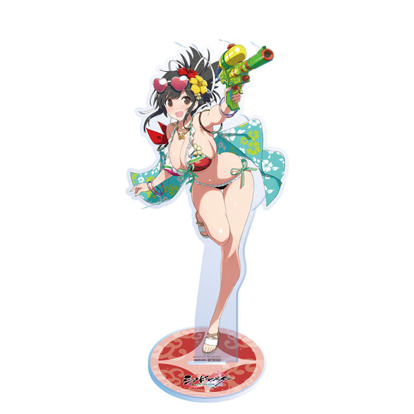 限定販売】シノビマスター 閃乱カグラ NEW LINK 飛鳥 画集描き下ろし