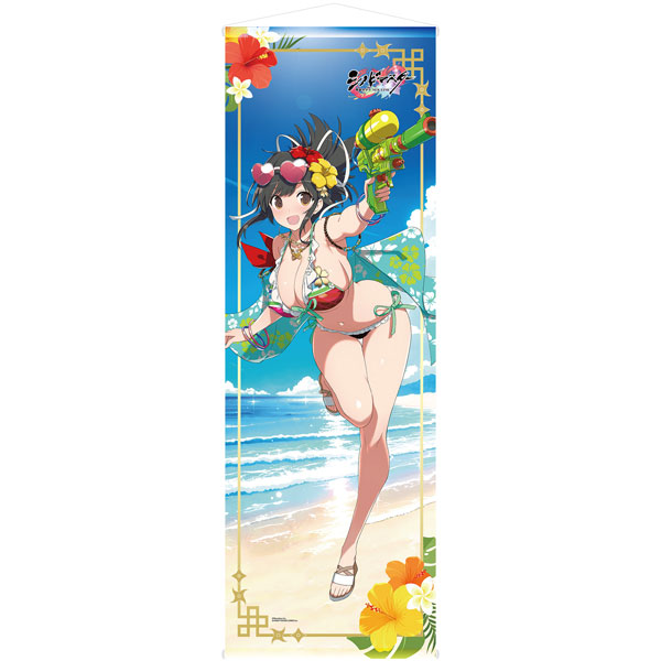 限定販売】シノビマスター 閃乱カグラ NEW LINK 飛鳥 画集描き下ろし