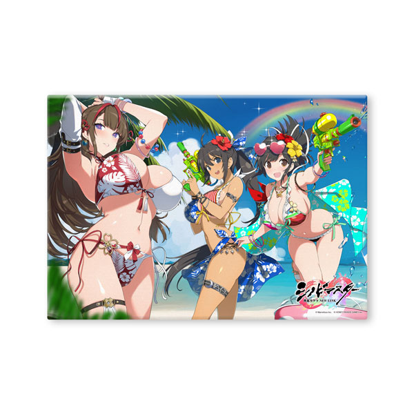 限定販売】シノビマスター 閃乱カグラ NEW LINK キャンバスアート 画集