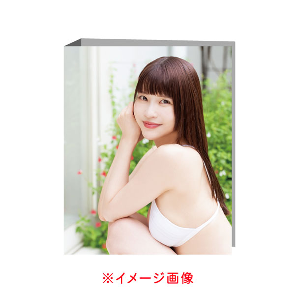 岸明日香～15th Anniversary～専用バインダー[WooHooカンパニー]【送料無料】《１０月予約》