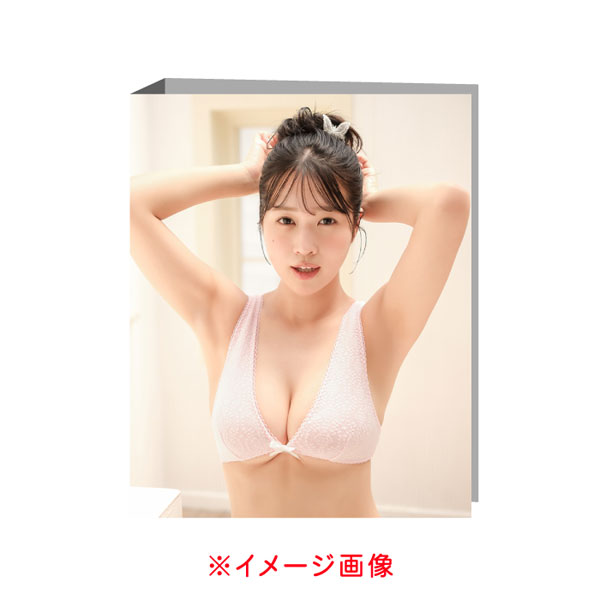 南みゆか～Gravure Mode～専用バインダー[WooHooカンパニー]《１１月予約》