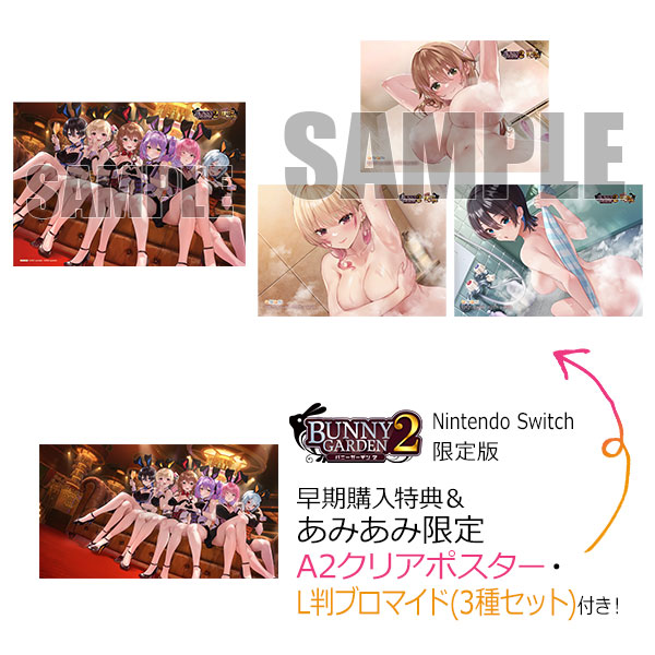 アスナ Switch ゲーム特典 プロモ あみあみ限定特典】【特典】Nintendo Switch バニーガーデン2 限定版