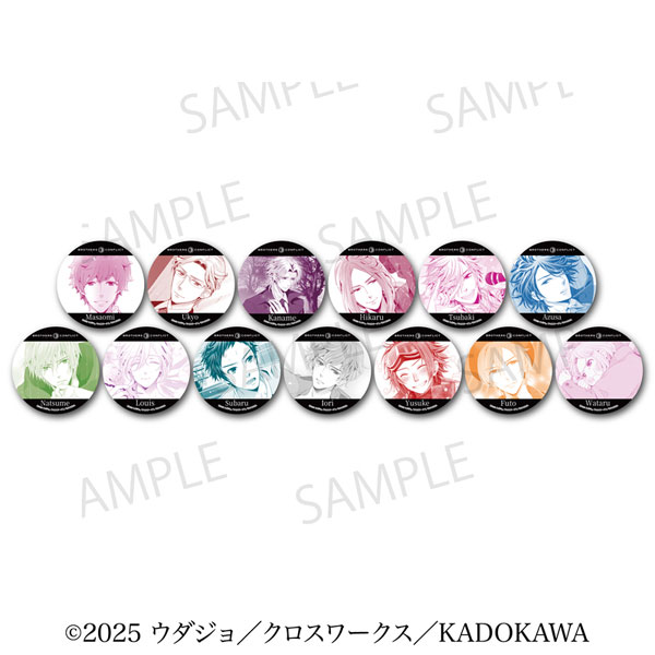 舞台ブラコン 公演 BROTHERS CONFLICT缶バッチ13個 BROTHERS CONFLICT」トレーディングビッグ缶バッジ 13個入りBOX