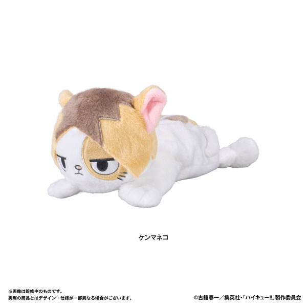 ハイキュー！！ ぬいぐるみペンポーチ(ケンマネコ)[アイアップ]《12