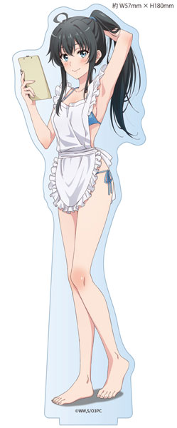 やはり俺の青春ラブコメはまちがっている。完 描き下ろし アクリル