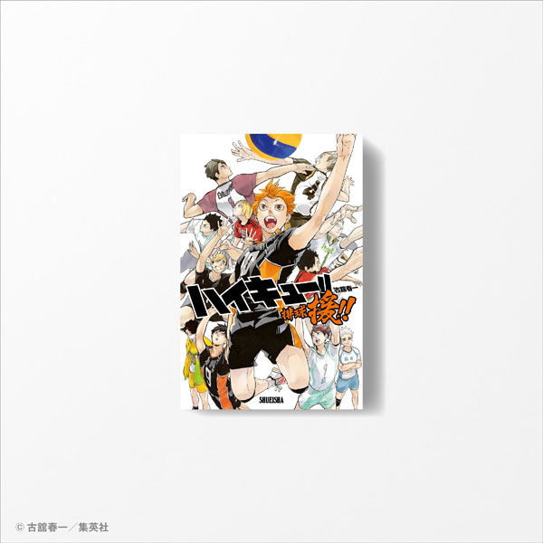 カードゲーム ハイキュー！！ 排球援！！（再販）[集英社ゲームズ]《発売済・在庫品》