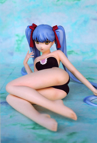 機動戦艦ナデシコ ホシノ・ルリ16才(水着) '07Ver. 1/5 完成品