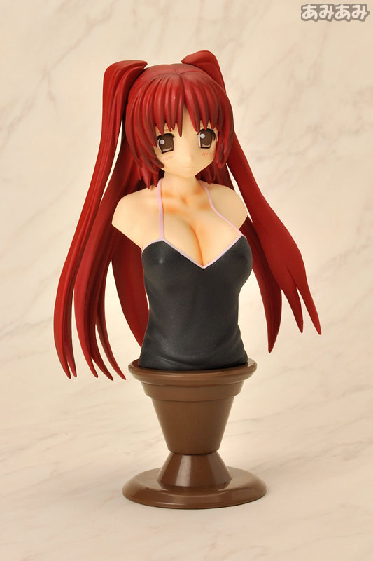 レジーニャ！ ポートレートコレクション ToHeart2 向坂環 GEE！限定版 