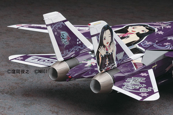 1/48 F-14D トムキャット “アイドルマスター 三浦あずさ” プラモデル