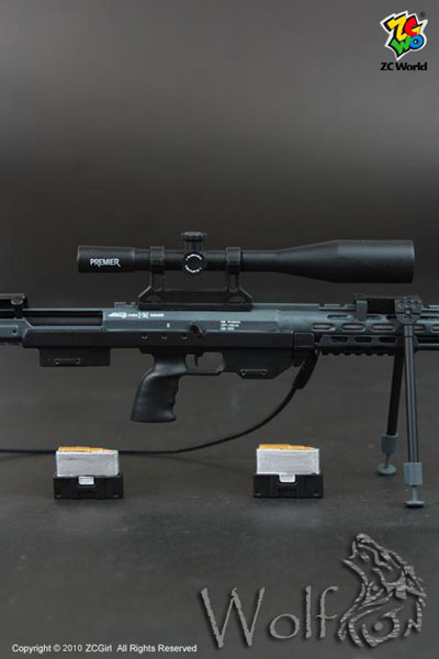 FIG-DOL-2343_11.jpg