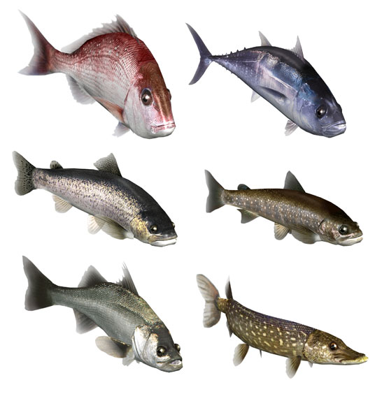 3ds Fish Eyes 3d フィッシュアイズ3d 再販 マーベラスaql 在庫切れ