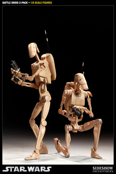 FIG-KAI-2904_01.jpg