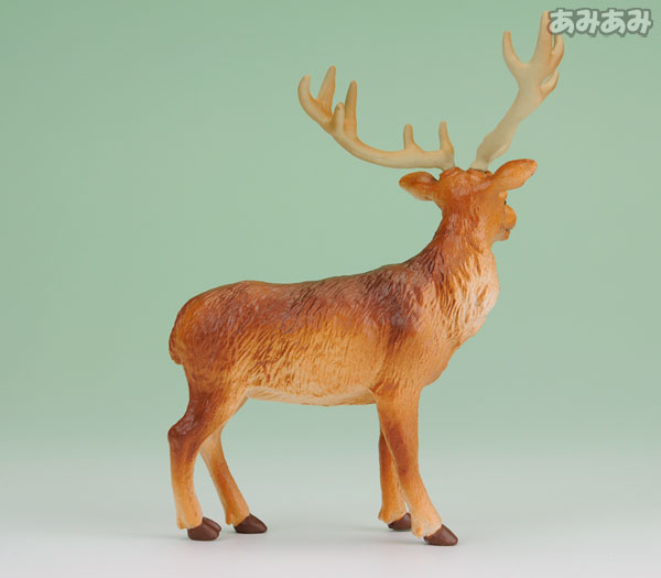 FIG-COL-3695_04.jpg