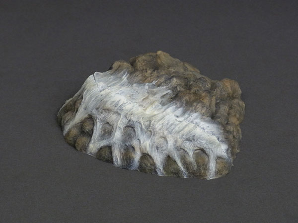 FIGURE-000385_08.jpg
