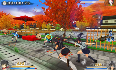 3DS 閃乱カグラ2 -真紅- 通常版