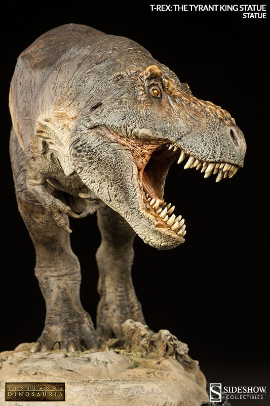 512027 アパトサウルス 恐竜 ダイナソーリア sideshow サイドショウ 検 
