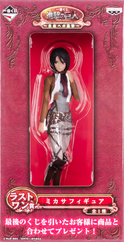 FIGURE-009524_11.jpg