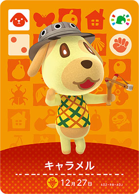 Wii U どうぶつの森 amiiboフェスティバル 【初回版※ケント付】 GAME-0015227_12.jpg