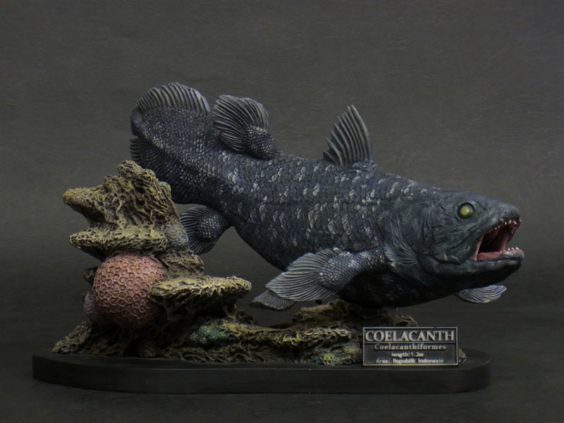 ハンドメイド シーラカンス フィギュア 立体・オブジェ fish