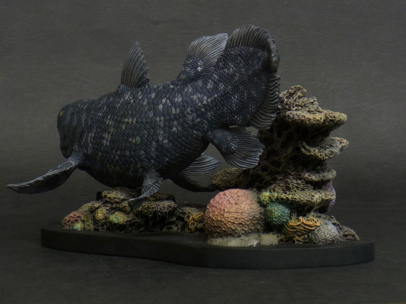 Wonder of wild series シーラカンス 完成品フィギュア[エクスプラス