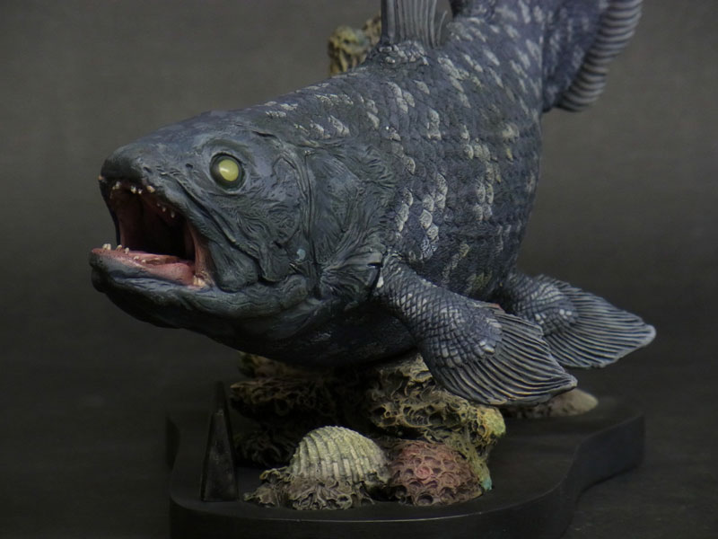 Wonder of wild series シーラカンス 完成品フィギュア[エクスプラス