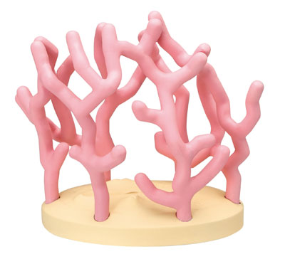 TOY-003917_04.jpg