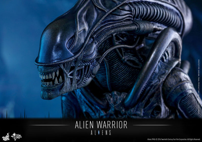 ムービー・マスターピース エイリアン2 1/6 エイリアン