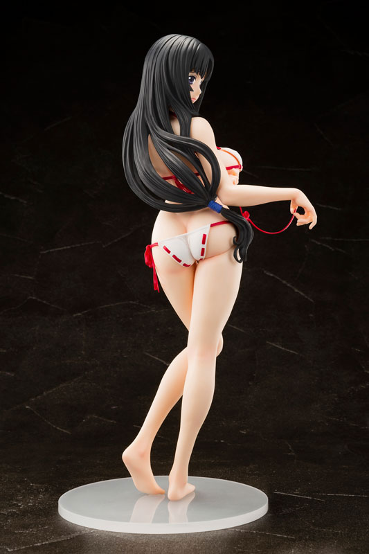 【あみあみ限定特典】クイーンズブレイド 美しき闘士たち 武者巫女トモエ 禁断の…巫女着せ替えフィギュア 1/6 フィギュア FIGURE-021847_12.jpg