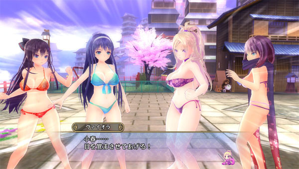 特典 Ps Vita Valkyrie Drive Bhikkhuni Bikini Party Edition マーベラス 送料無料 在庫切れ