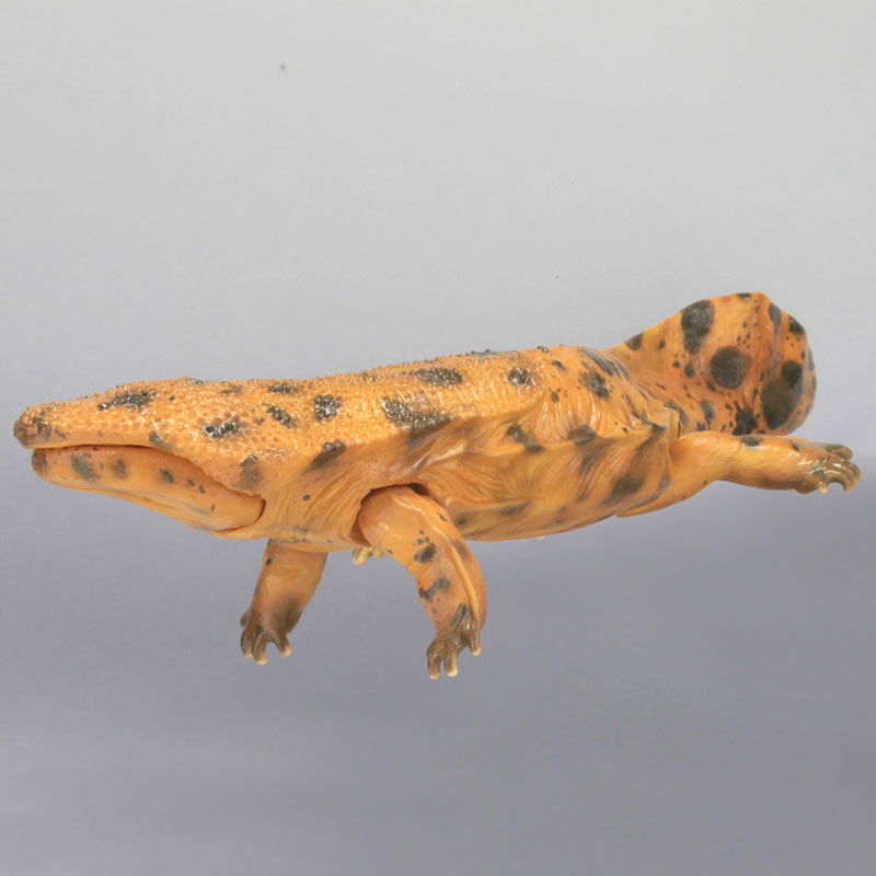 FIGURE-026189_06.jpg